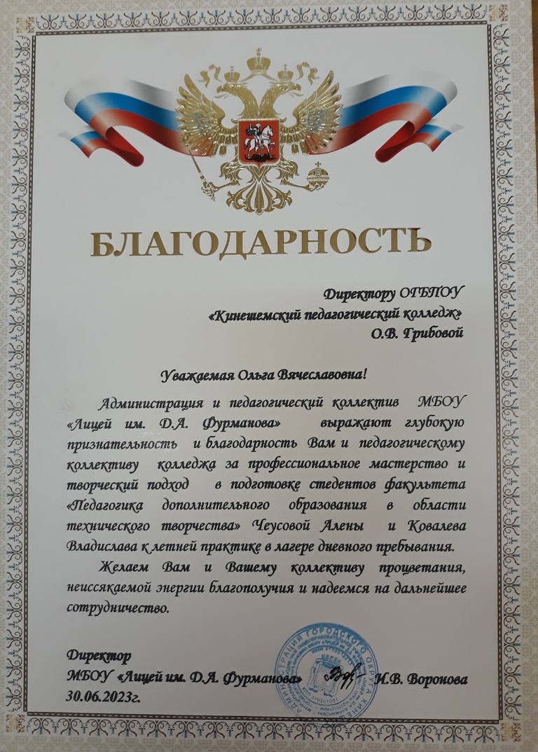 благодарность лицей практика